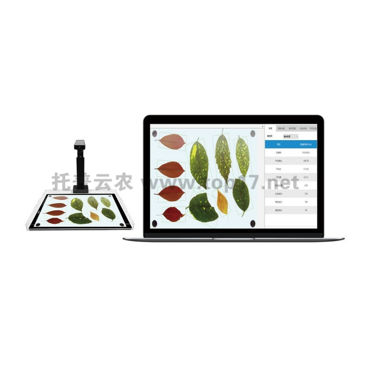 智能葉面積測(cè)量系統(tǒng)YMJ-PC